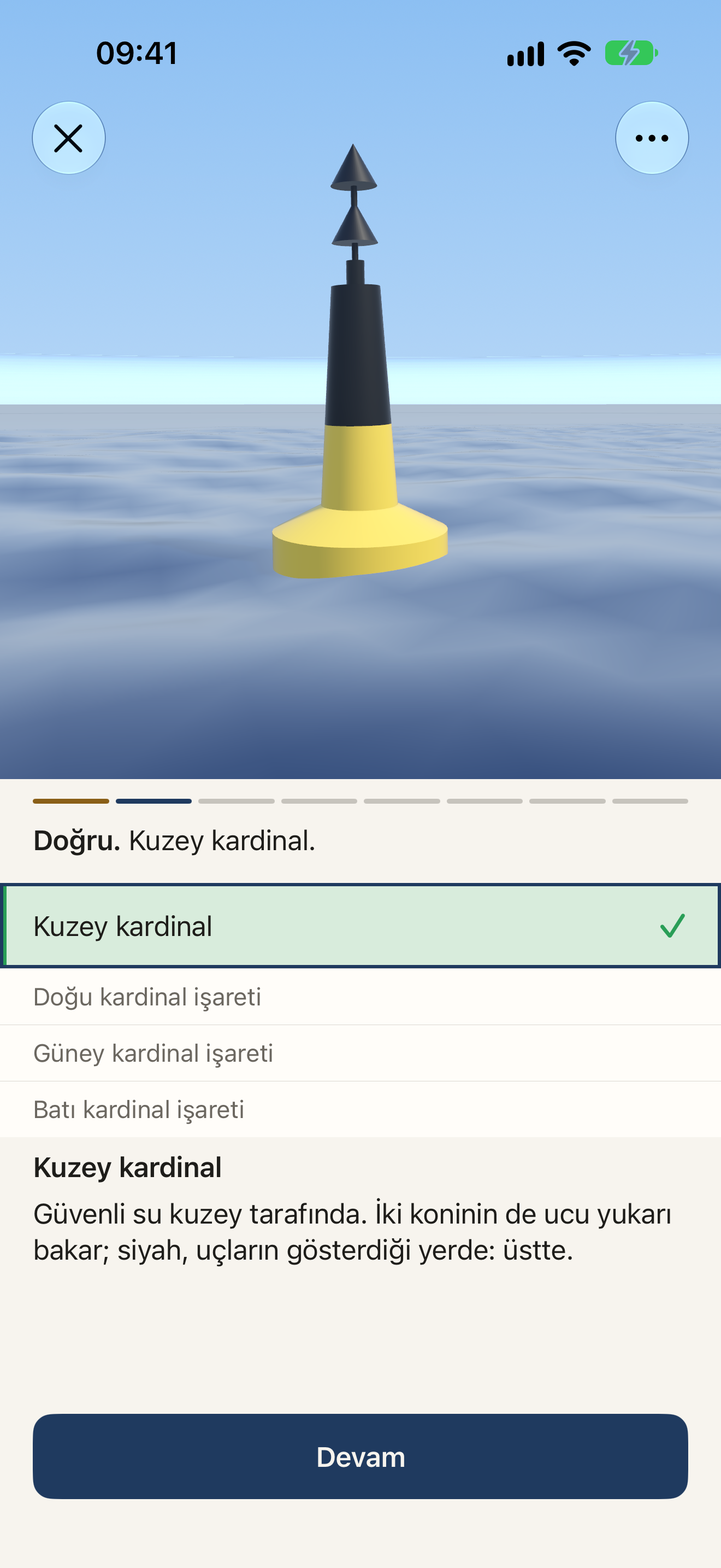 Şamandıralar ve kıyı seyri